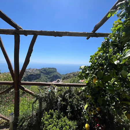 Villa La Torretta